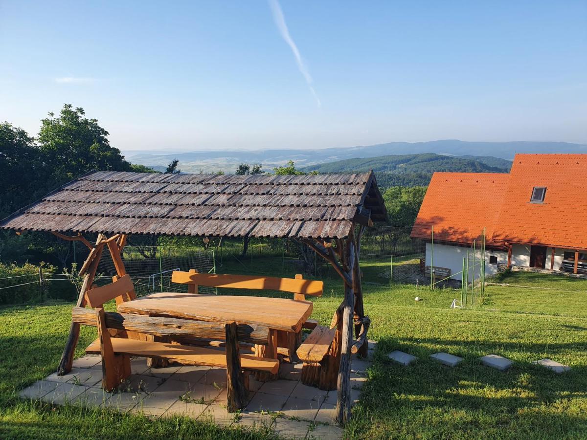 Pensiunea Szilas Panzio Păuleni Extérieur photo