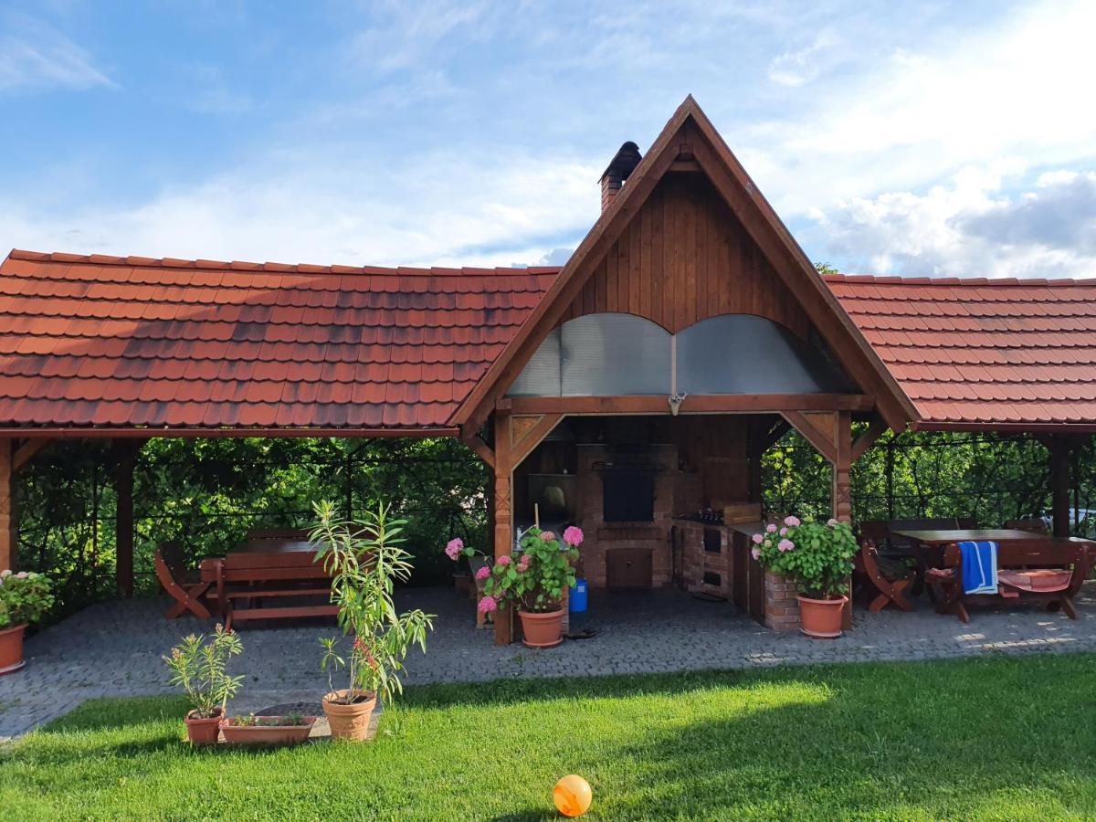 Pensiunea Szilas Panzio Păuleni Extérieur photo