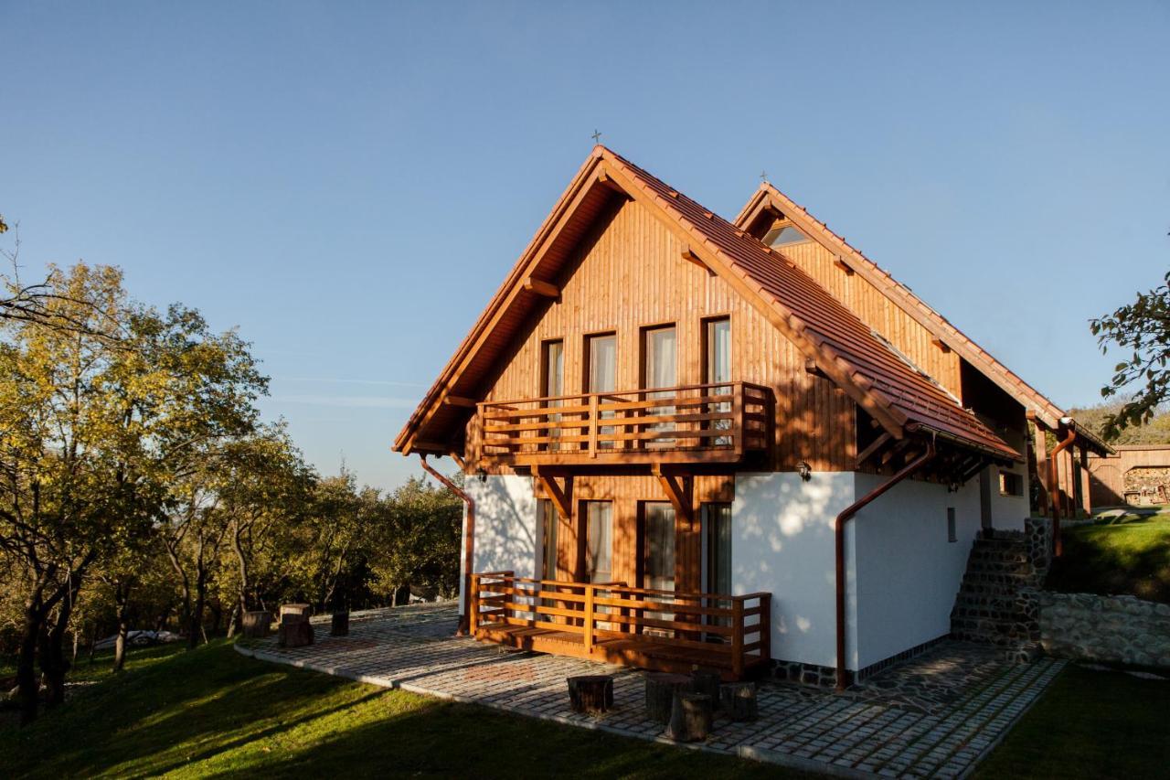 Pensiunea Szilas Panzio Păuleni Extérieur photo