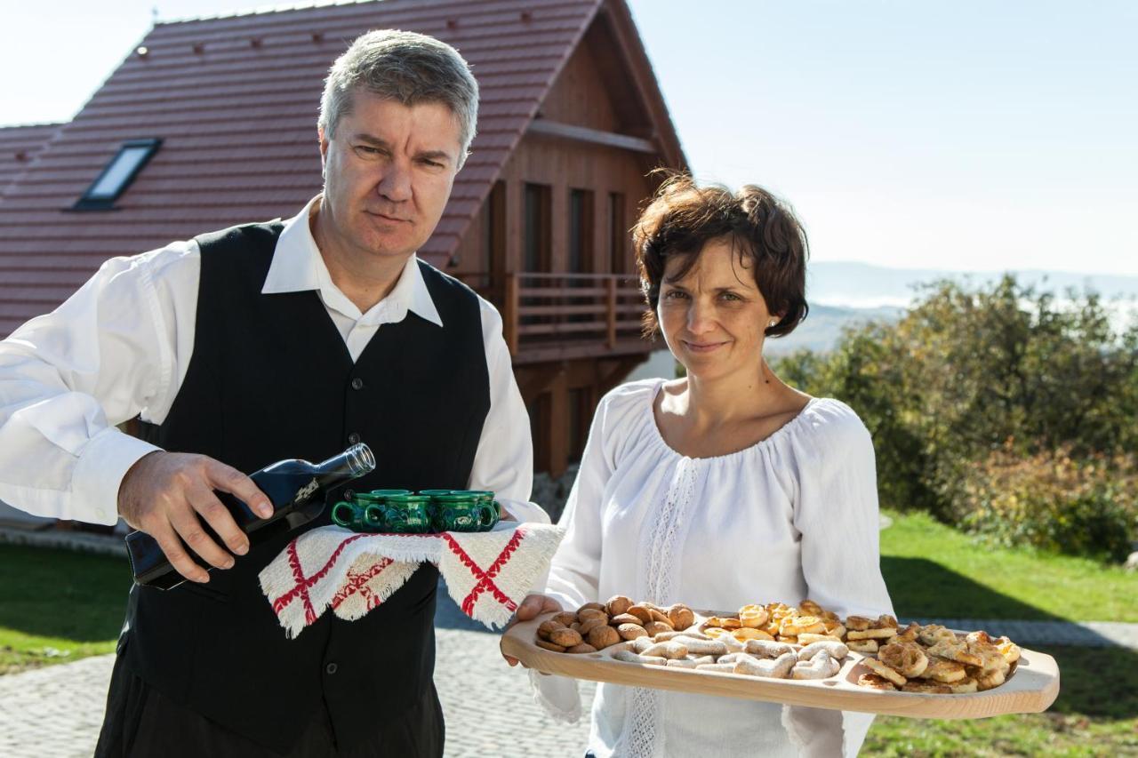 Pensiunea Szilas Panzio Păuleni Extérieur photo